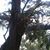 Jose Garcia's profile image