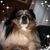 Arlene G. Foulk's profile image