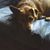 Susan Goad's profile image