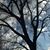 Barbara Zibell's profile image