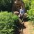 Sharon Bakker's profile image