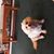Nancy Hurlbrink's profile image