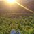 Lindsey Burdick's profile image