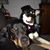 Tammy Perkins's profile image