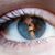 Brian Roseman's profile image