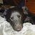 Tina Ittner's profile image