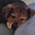 Marybeth Akin's profile image