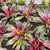 Patricia Dreyspring's profile image