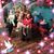 Cindy L Dickerson's profile image