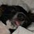 Crystal Wagner Richards's profile image