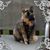 Mary Lee Madden's profile image