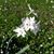 Barbara Binky Greene's profile image