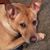 Donna Robbins's profile image