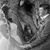 David Porter's profile image