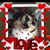 Carol Volzke King's profile image