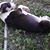 Maryann Clenons's profile image