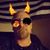 Chris Sandy's profile image