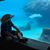Nick Talley's profile image