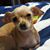 Pauline Ervin's profile image