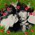 Lisa Bartek Reynoldson's profile image