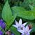 Mary Schmidtke St Clair's profile image