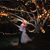 Christina Merrill's profile image