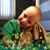 Carol Podgorny's profile image