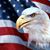 Randy Keen's profile image