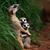 Piedad Diaz Martinez's profile image