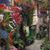 Kathy Wilcox Hall's profile image