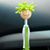 Tonya Tackett's profile image