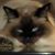 Katty England Bomar's profile image