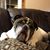 Gerard A Gagne's profile image