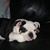 Jennifer Turpin's profile image