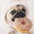 Lisa Senecal's profile image