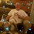 Lynda Moser Allen's profile image