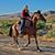 Diane Garland's profile image