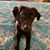 Kristine Carney's profile image