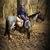 Tracy Hutchison Miller's profile image