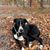 Dona Sneller's profile image