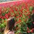 Chelsea Jeannette Liu's profile image