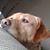 Eric Lowdermilk's profile image