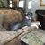 Tina G. Anderson's profile image