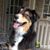 Diane Madigan's profile image