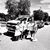 Linda Raduenz's profile image