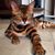 Lori Boudnik's profile image