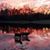 Cindy Brown-Bob Lanford's profile image