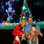 Leann Collins Pacitto's profile image