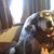 Linn Hutchins's profile image