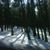 Alice Ward's profile image